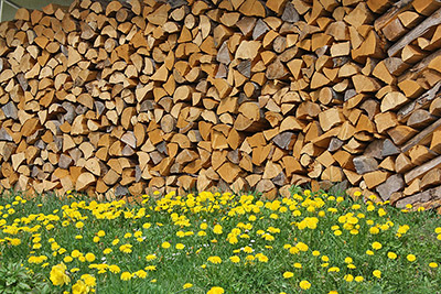 Das Holz für den Winter ist gesichert