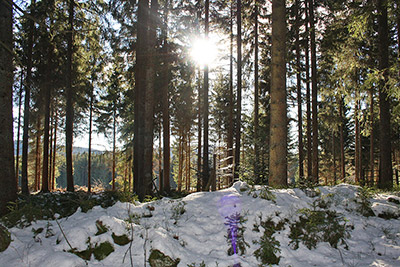 Ein Winterspaziergang in klarer Schwarzwaldluft