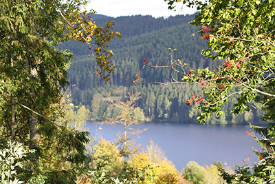 Den Blick schweifen lassen und die Vielseitigkeit der Natur entdecken