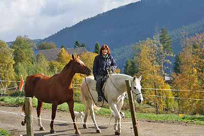 Hoch zu Ross die Umgebung erkunden