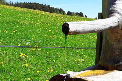 Klares Wasser direkt aus der Quelle