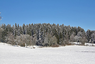 Wintermärchen